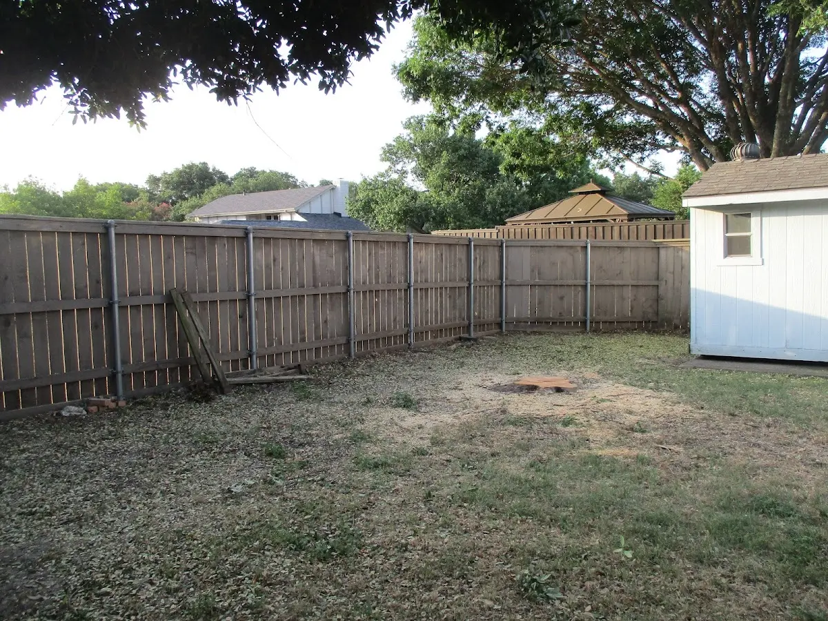 Cleared yard after professional tree removal in Murrayville